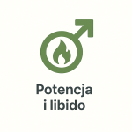 Potencja i libido